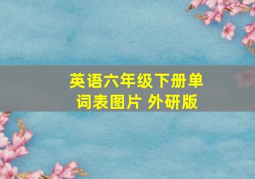 英语六年级下册单词表图片 外研版